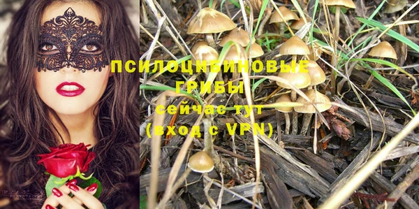 молекула духа Абинск