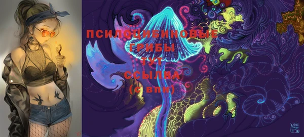 mix Алексин