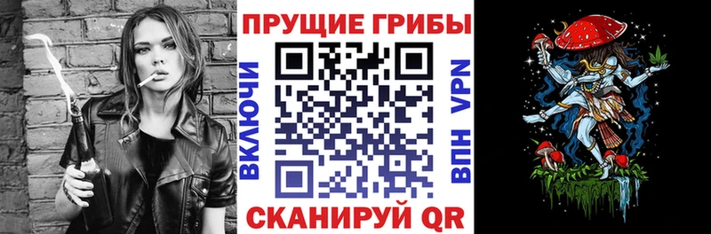 Галлюциногенные грибы MAGIC MUSHROOMS  мега как зайти  Чехов 